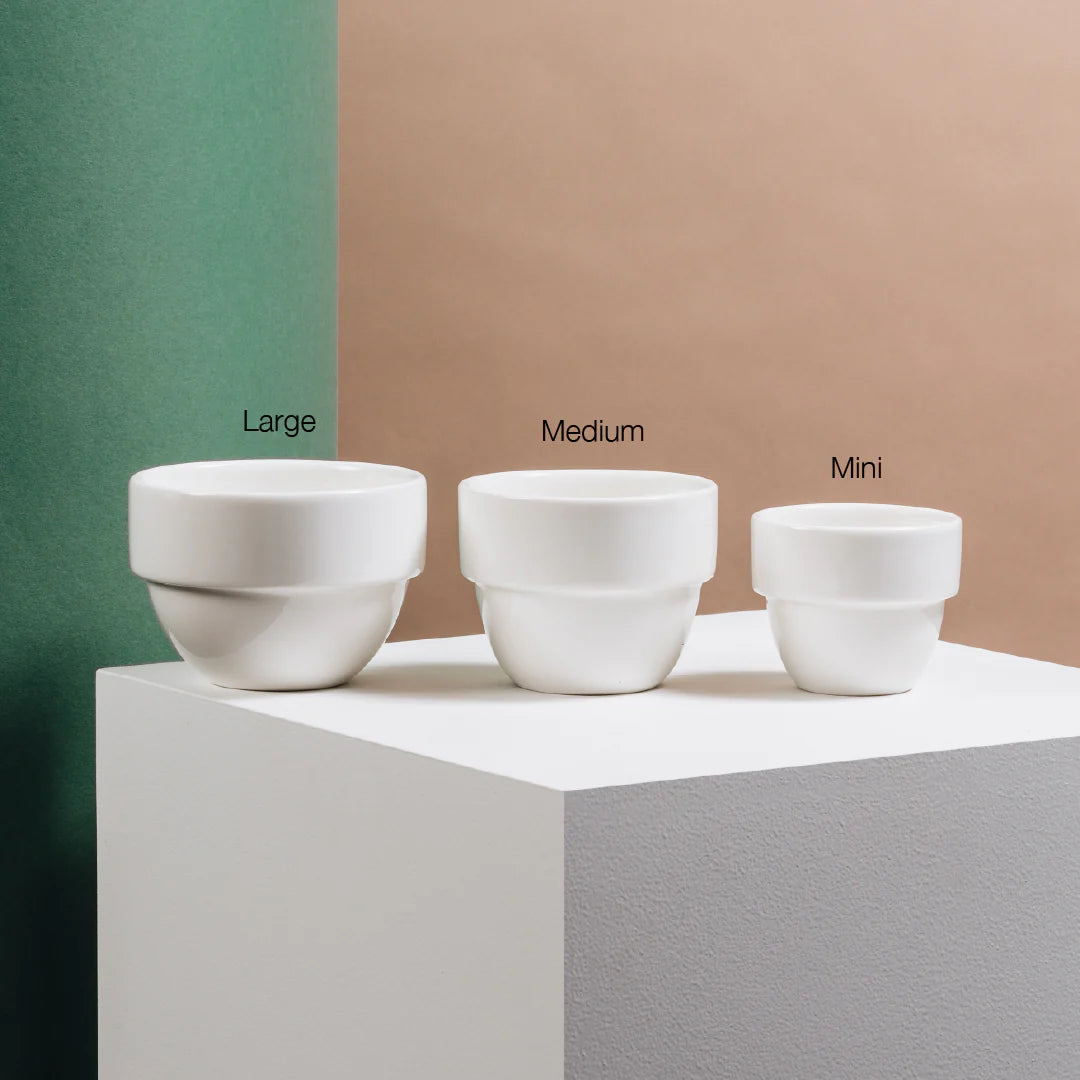 Taster Cup